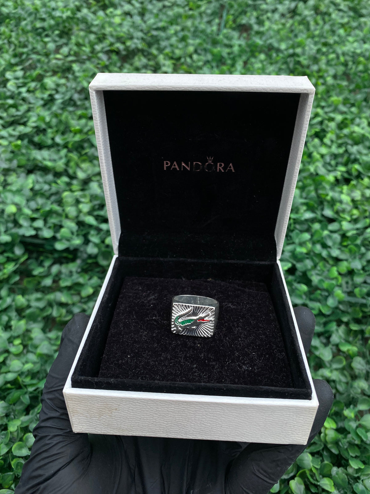 Conjunto Lacoste / Carteira e Dedeira