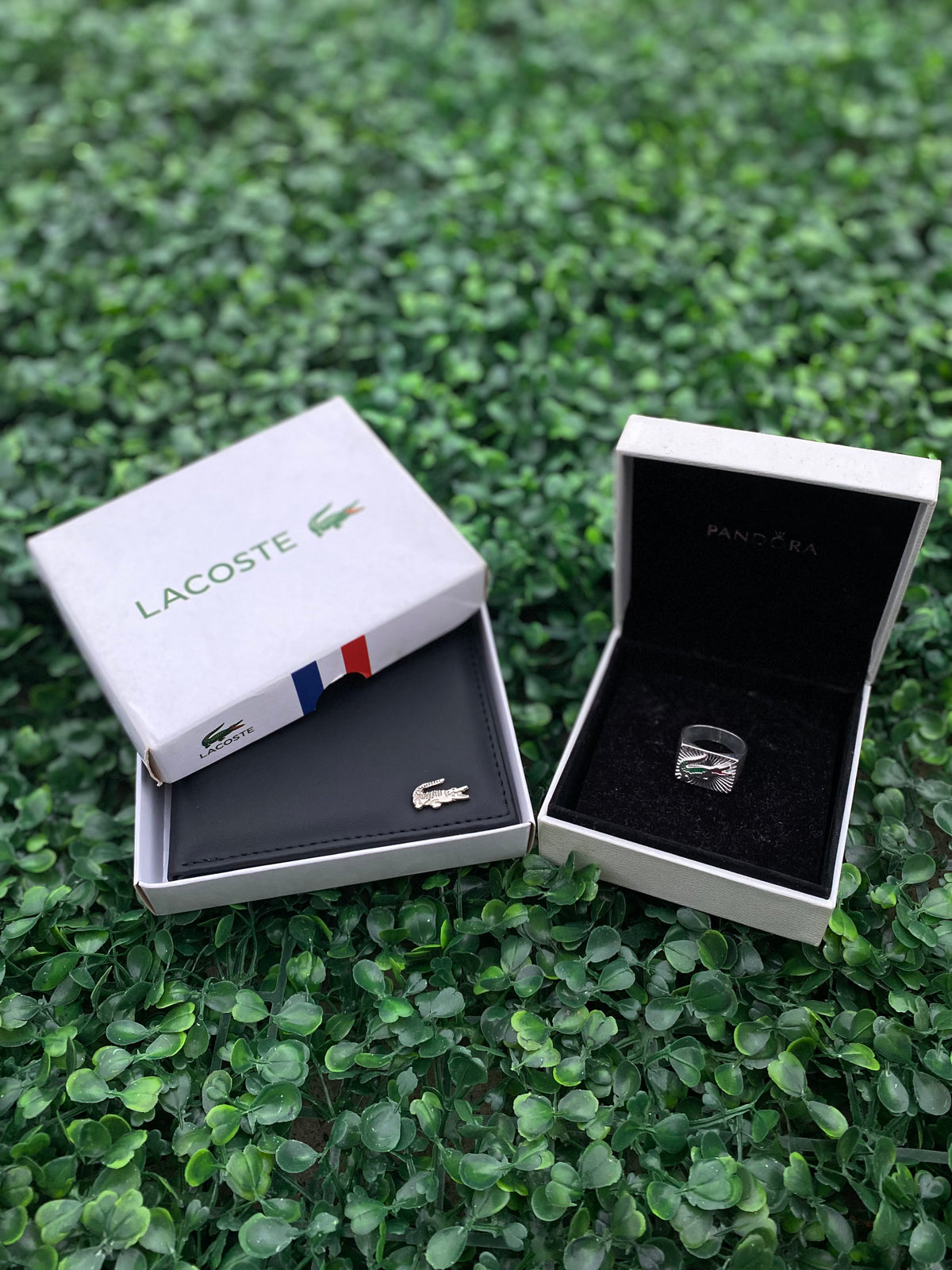 Conjunto Lacoste / Carteira e Dedeira